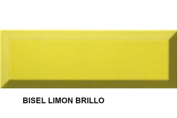 SERIE BISEL 10X30