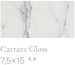 SERIE CARRARA  15X40 - 7,5X15 - 7,5X30