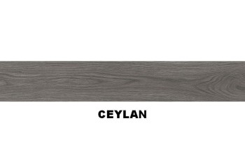 SERIE DUCALE 10X60