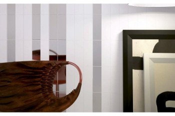 SERIE LISO/FLAT 10X20